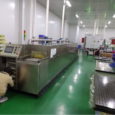 Tunnel Type Cleaning Equipment Includ Spray Ultrasonic Pure Water Rinse Wind Cut Dry
